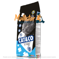 Cat & Co | Tonno mollistar.it