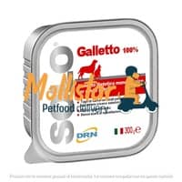 DNR | Solo Galletto mollistar.it