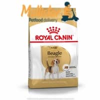 Royal Canin | Beagle Adult mollistar.it