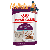 Royal Canin | Sensory™ FEEL straccetti in salsa mollistar.it