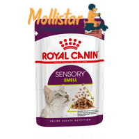 Royal Canin | Sensory™ SMELL bocconcini in salsa mollistar.it