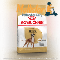 Royal Canin | Boxer Adult mollistar.it