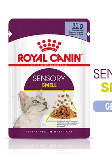 Royal Canin | Sensory™ SMELL bocconcini in gelatina mollistar.it