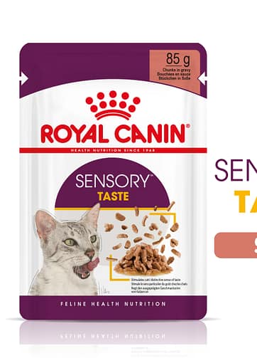 Royal Canin | Sensory™ TASTE bocconcini in salsa mollistar.it