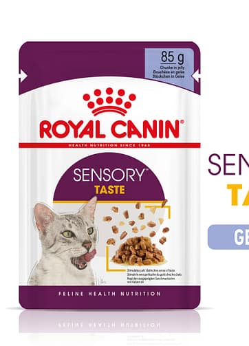 Royal Canin | Sensory™ TASTE bocconcini in gelatina mollistar.it